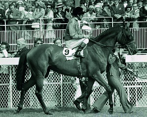 Highclere