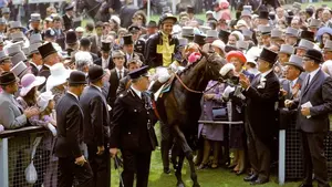 Mill Reef