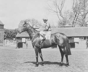 Brigadier Gerard