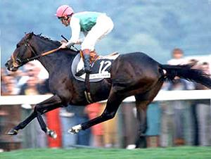 Dancing Brave