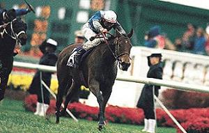 Miesque