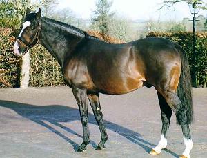 Sadler's Wells