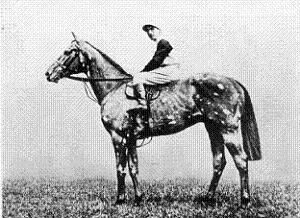 The Tetrarch