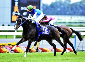 Admire Groove