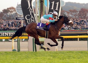 Almond Eye