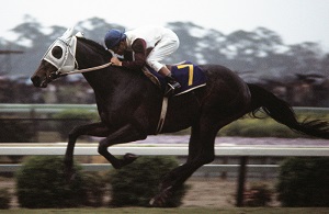 Haiseiko