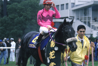 Narita Brian