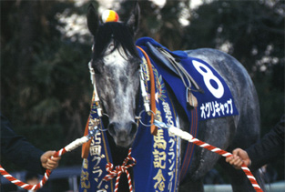 Oguri Cap