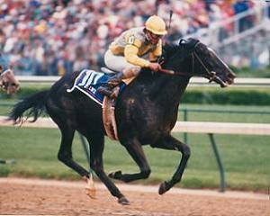 Sunday Silence