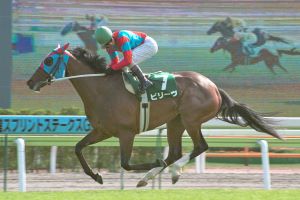 Believe