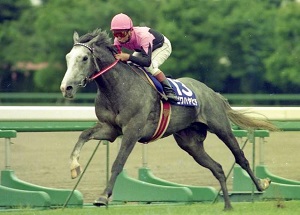 Biwa Hayahide