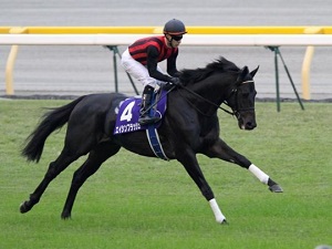 Eishin Flash