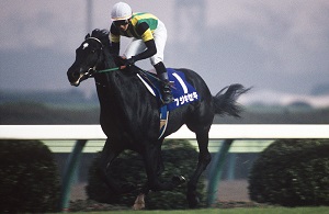 Fuji Kiseki