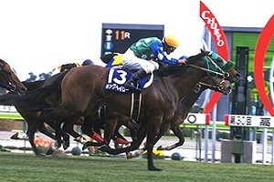 King Halo