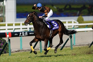 Kitasan Black