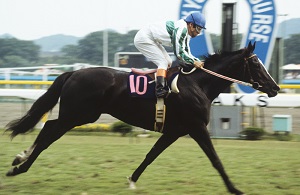 Mejiro Ramonu