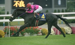 Narita Brian