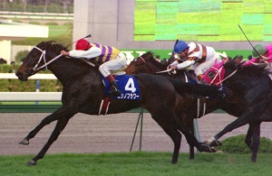 Nishino Flower