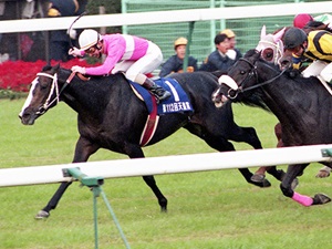 Sakura Chitose O