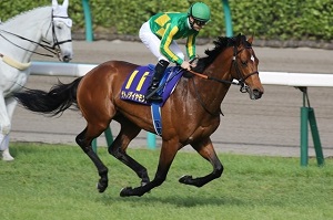 Satono Diamond