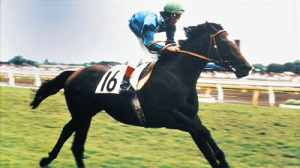 Sirius Symboli