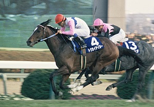 Tokai Teio