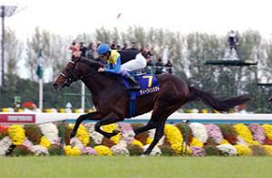 Deep Impact